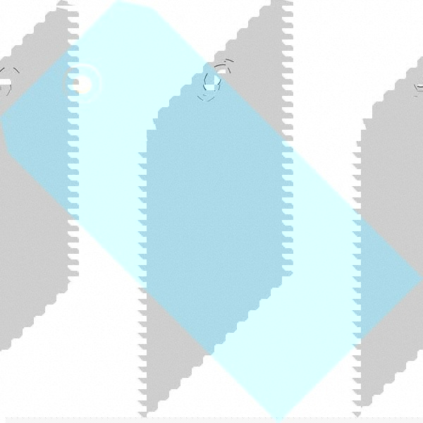Blank Tag: 5-1/4'' High, Light Blue, Synthetic Paper